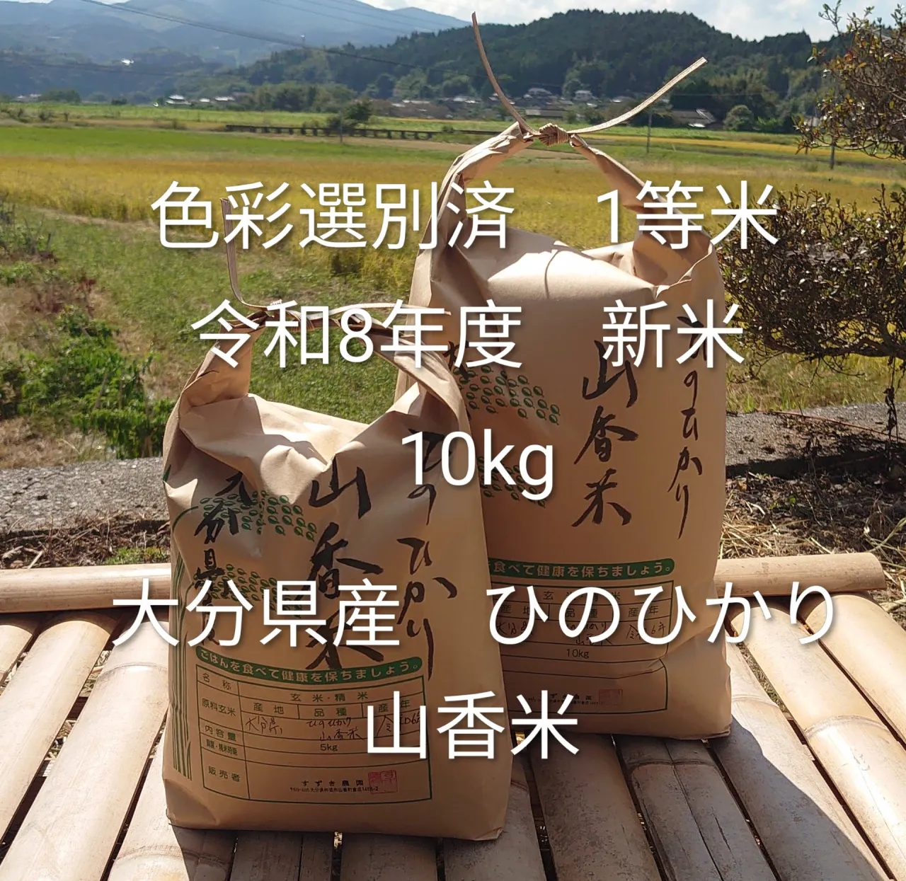 【大分県産 山香米】令和8年度 ひのひかり 10㎏