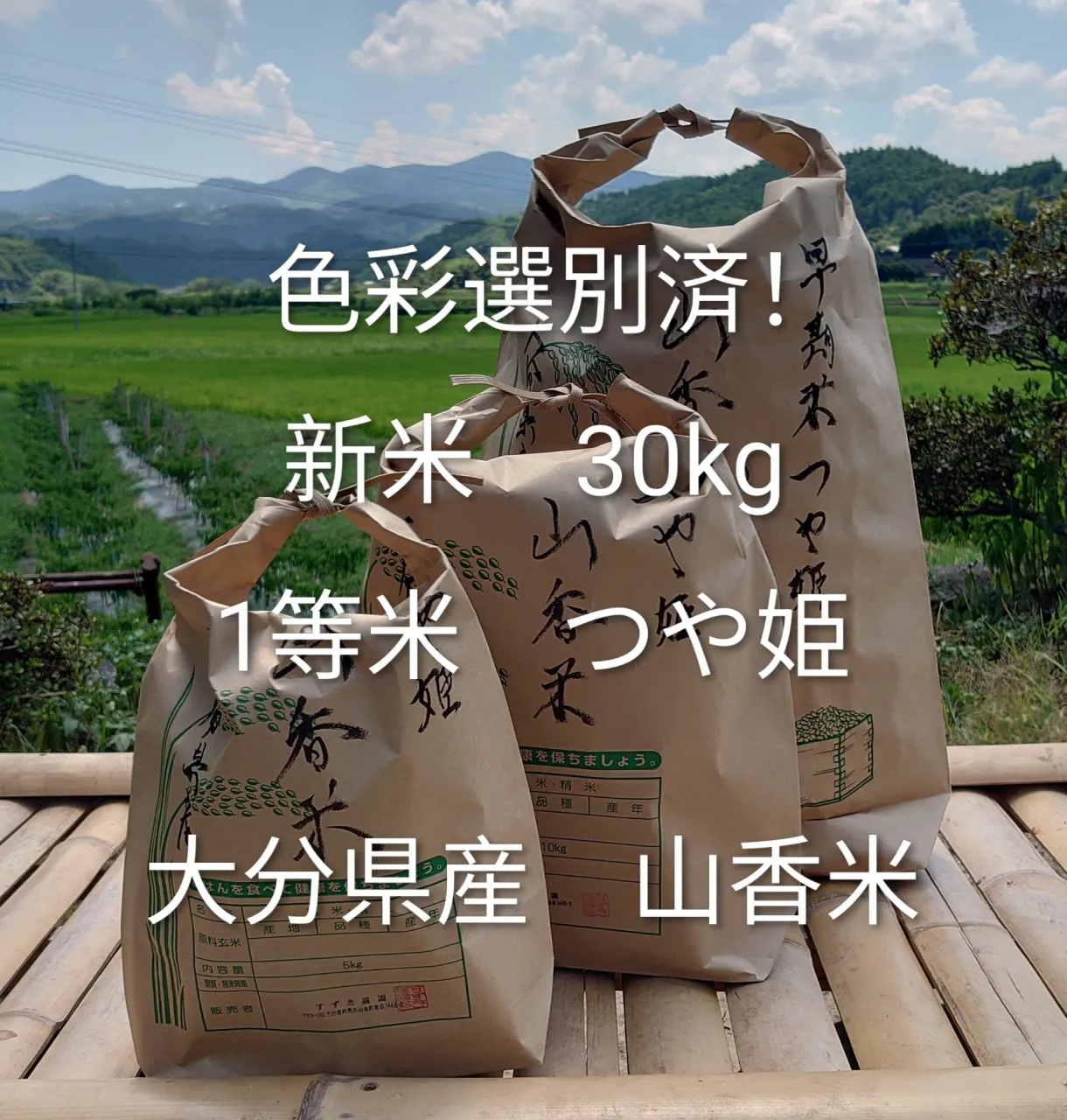 【大分県産 山香米】令和8年度 つや姫 30㎏